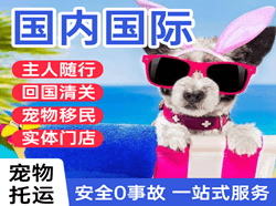 哈尔滨航空空运国际宠物托运 【国